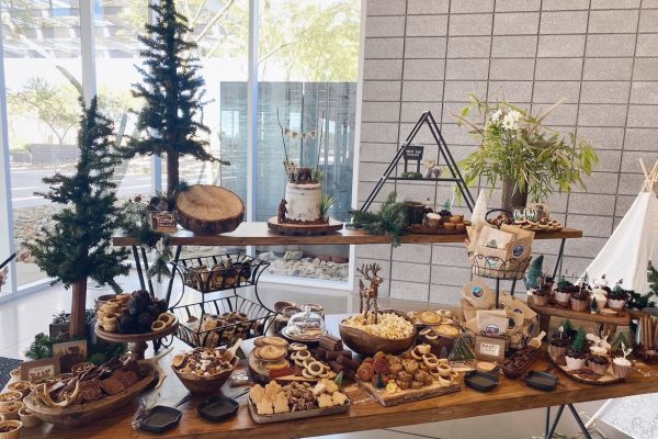Baby Shower Appetizers Services in Boise ID
